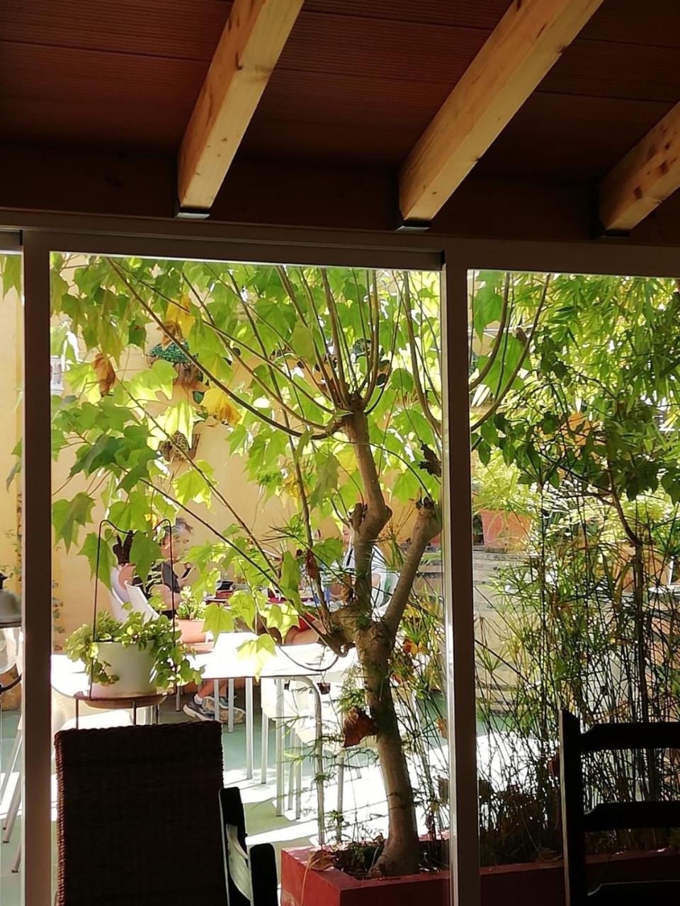 Casa Antiquary Hostel Бенитачел Екстериор снимка
